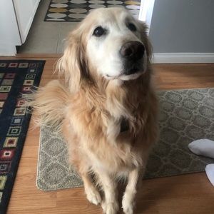 Meet your Posher, Kathleen